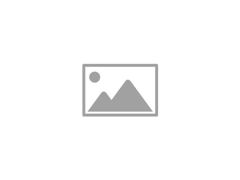 Reinigungsbürsten mit Schweineborsten