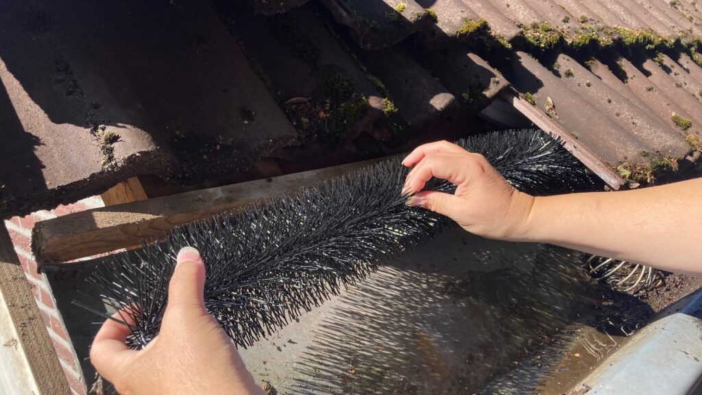 Foto - Naturschutz mit effektiven Vogelabwehrbürsten