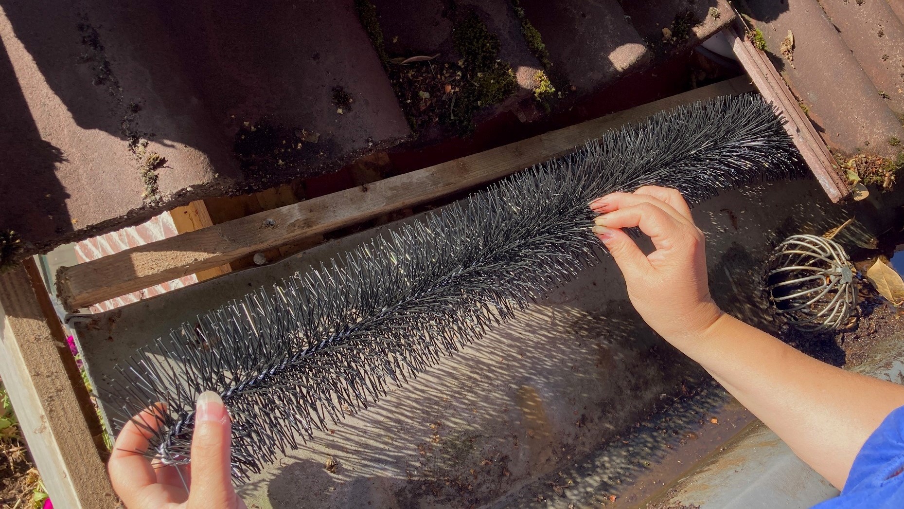 Ongedierte bestrijding